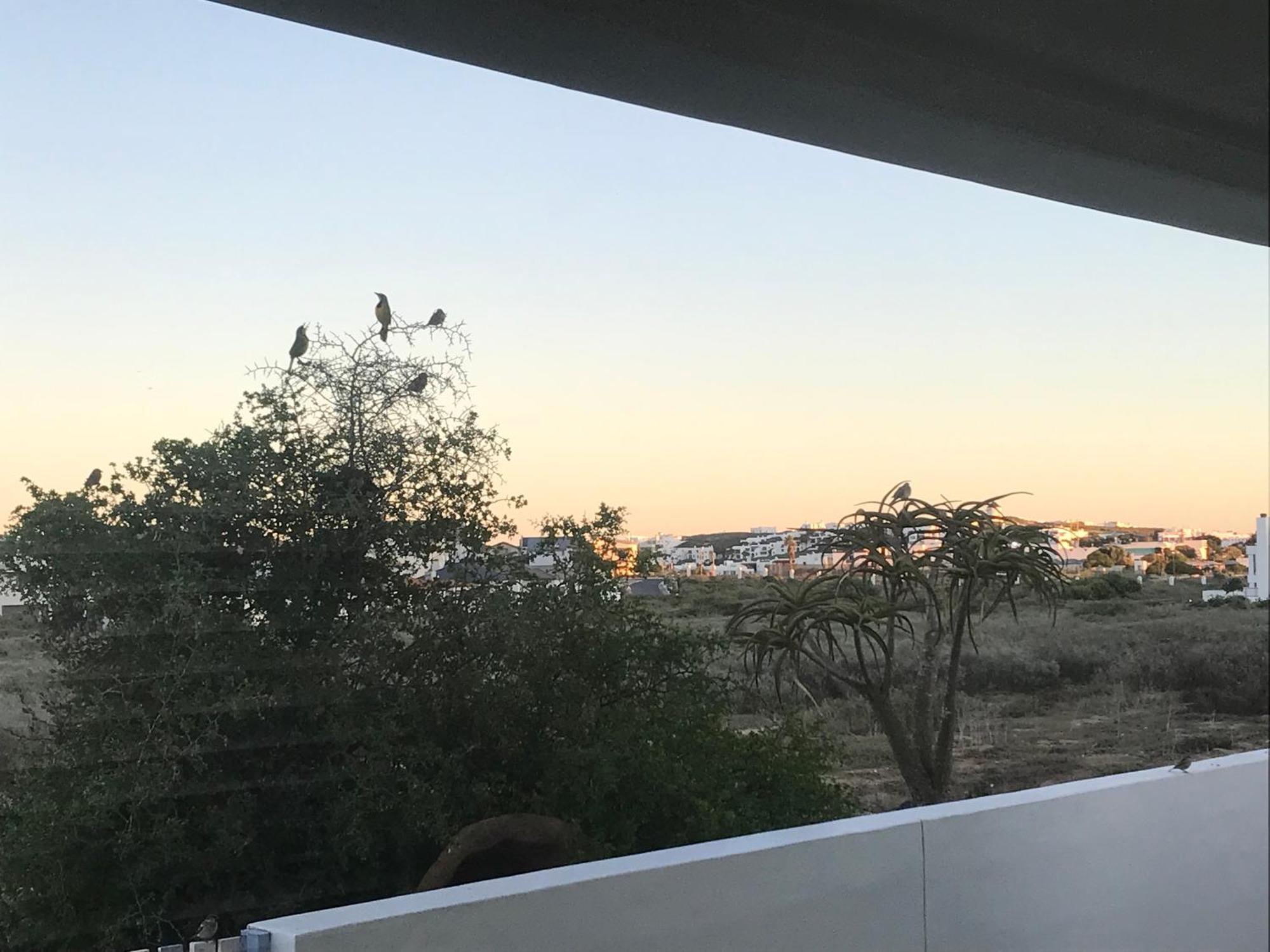 Perfect 10 - 10 To 13 Sleeper Luxury Holiday Home Breakage Deposit Of R2500 Per Weekend Lease Langebaan Zewnętrze zdjęcie