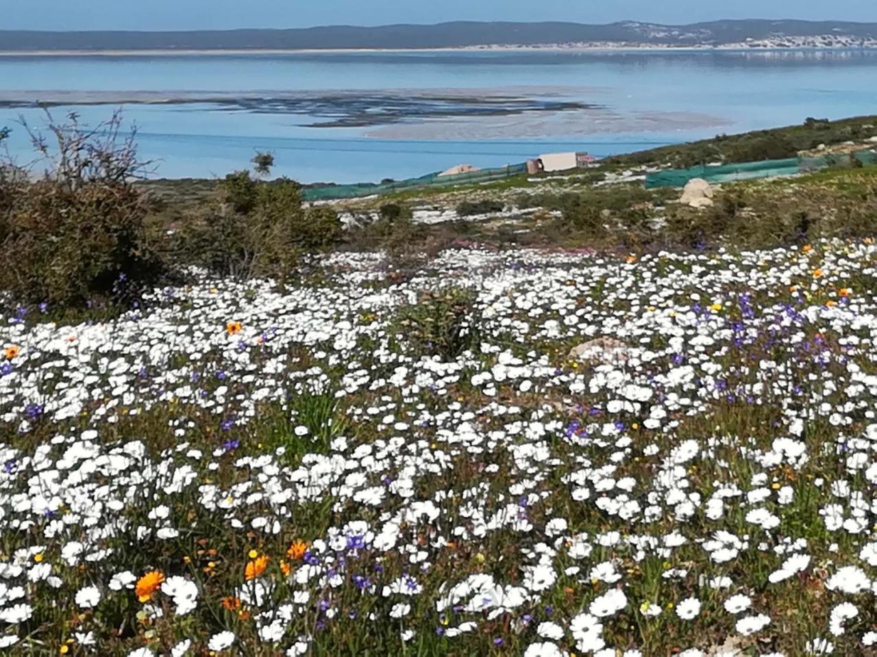 Perfect 10 - 10 To 13 Sleeper Luxury Holiday Home Breakage Deposit Of R2500 Per Weekend Lease Langebaan Zewnętrze zdjęcie